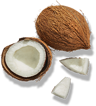 Cocos Nucifera (Coconut) Oil