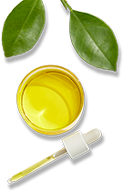 Hydrolyzed Jojoba Esters