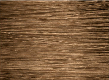 5WB light warm beige brown