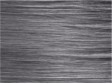 4N medium natural brown<